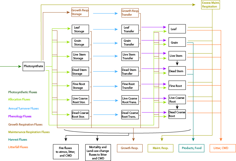 ../../_images/CLMCN_pool_structure_v2_lores.png